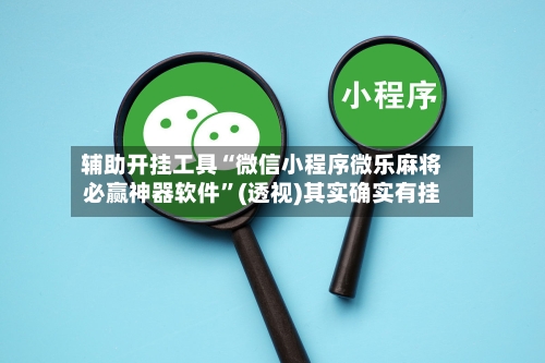 辅助开挂工具“微信小程序微乐麻将必赢神器软件	”(透视)其实确实有挂-第2张图片