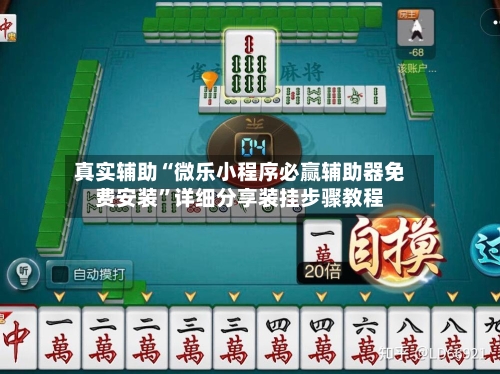 真实辅助“微乐小程序必赢辅助器免费安装”详细分享装挂步骤教程-第2张图片