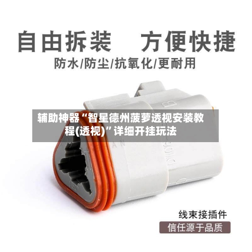 辅助神器“智星德州菠萝透视安装教程(透视)”详细开挂玩法-第3张图片