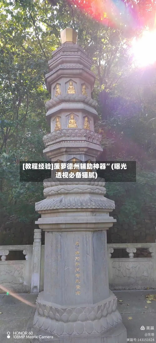 [教程经验]菠萝德州辅助神器”(曝光透视必备猫腻)-第3张图片