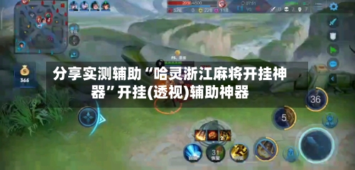 分享实测辅助“哈灵浙江麻将开挂神器”开挂(透视)辅助神器-第2张图片