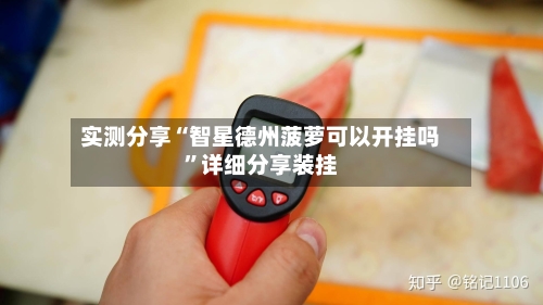 实测分享“智星德州菠萝可以开挂吗	”详细分享装挂-第2张图片