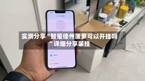 实测分享“智星德州菠萝可以开挂吗”详细分享装挂-第3张图片