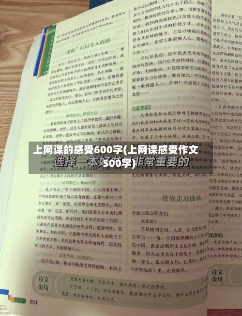 上网课的感受600字(上网课感受作文500字)-第2张图片