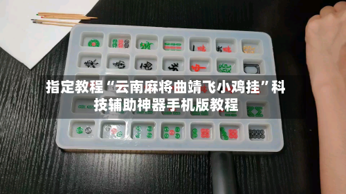 指定教程“云南麻将曲靖飞小鸡挂”科技辅助神器手机版教程-第3张图片