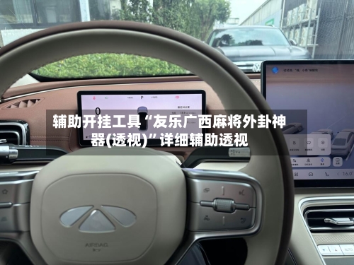 辅助开挂工具“友乐广西麻将外卦神器(透视)”详细辅助透视-第2张图片