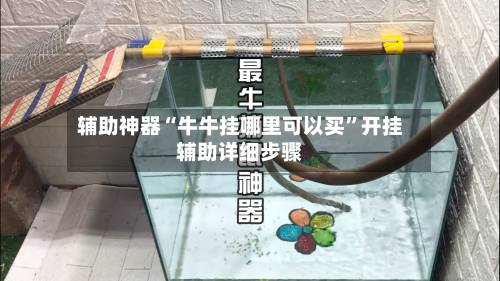 辅助神器“牛牛挂哪里可以买”开挂辅助详细步骤-第2张图片