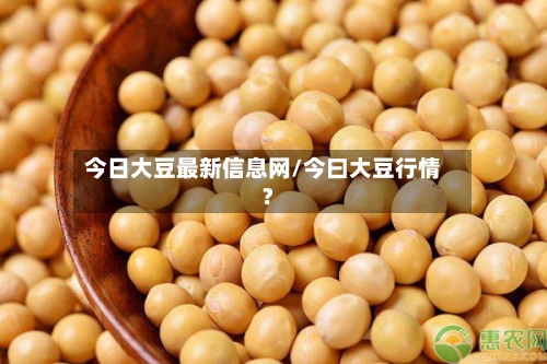 今日大豆最新信息网/今曰大豆行情?