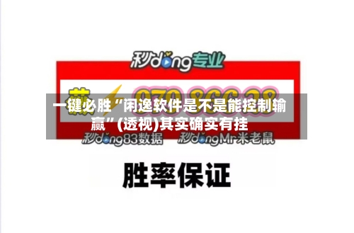 一键必胜“闲逸软件是不是能控制输赢”(透视)其实确实有挂-第3张图片