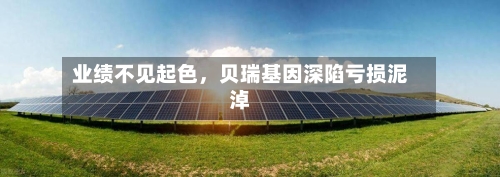 业绩不见起色，贝瑞基因深陷亏损泥淖