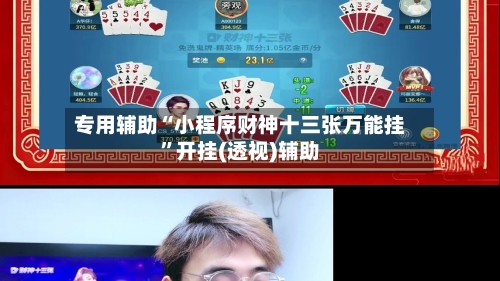 专用辅助“小程序财神十三张万能挂”开挂(透视)辅助-第3张图片