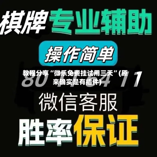 教程分享“微乐免费挂试用三天”(原来确实是有插件)-第3张图片