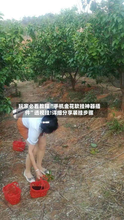 玩家必看教程“手机金花软挂神器插件”透视挂!详细分享装挂步骤-第3张图片