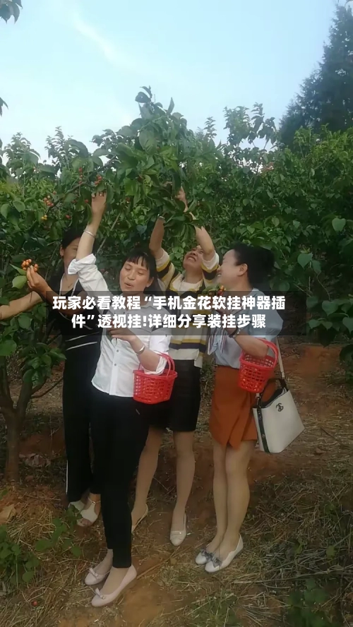 玩家必看教程“手机金花软挂神器插件”透视挂!详细分享装挂步骤-第2张图片