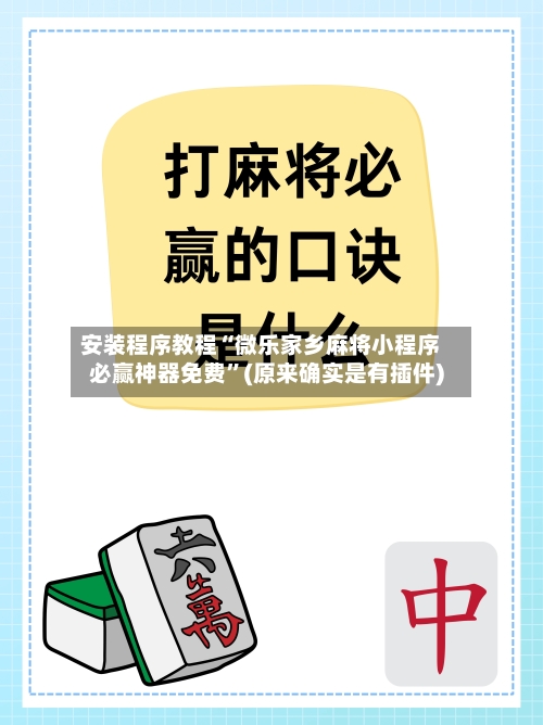 安装程序教程“微乐家乡麻将小程序必赢神器免费”(原来确实是有插件)-第2张图片