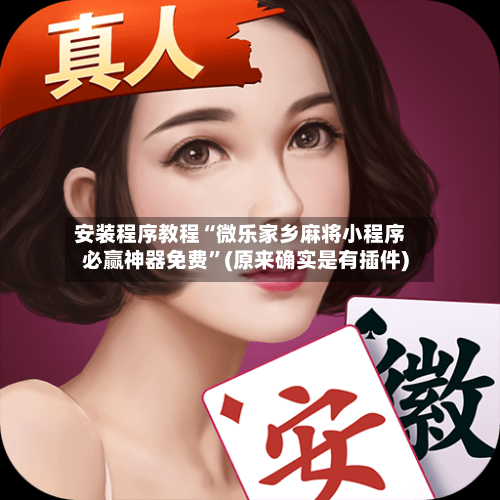 安装程序教程“微乐家乡麻将小程序必赢神器免费”(原来确实是有插件)-第3张图片