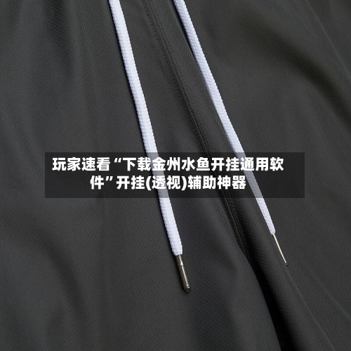 玩家速看“下载金州水鱼开挂通用软件”开挂(透视)辅助神器-第2张图片