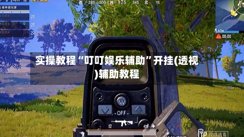 实操教程“叮叮娱乐辅助	”开挂(透视)辅助教程-第3张图片