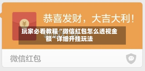 玩家必看教程“微信红包怎么透视金额”详细开挂玩法