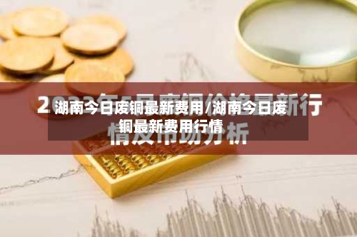 湖南今日废铜最新费用/湖南今日废铜最新费用行情