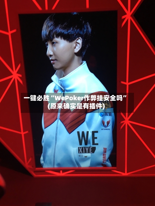 一键必胜“WePoker作弊挂安全吗	”(原来确实是有插件)-第3张图片