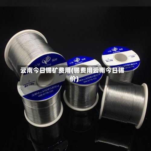 云南今日锡矿费用(锡费用云南今日锡价)
