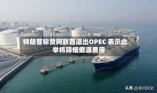 特朗普称赞阿联酋退出OPEC 表示此举将降低能源费用