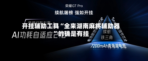 开挂辅助工具“全来湖南麻将辅助器”的确是有挂-第3张图片