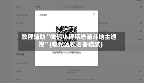 教程辅助“微信小程序途游斗地主透视”(曝光透视必备猫腻)-第3张图片