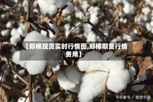 【郑棉现货实时行情图,郑棉期货行情费用】-第2张图片