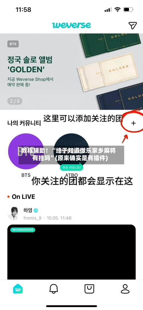 教程辅助！“终于知道微乐家乡麻将有挂吗”(原来确实是有插件)-第2张图片