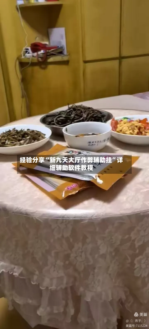 经验分享“新九天大厅作弊辅助挂	”详细辅助软件教程-第2张图片