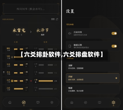 【六爻排卦软件,六爻排盘软件】