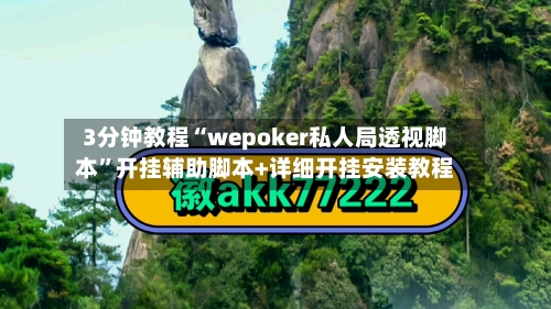 3分钟教程“wepoker私人局透视脚本”开挂辅助脚本+详细开挂安装教程-第3张图片