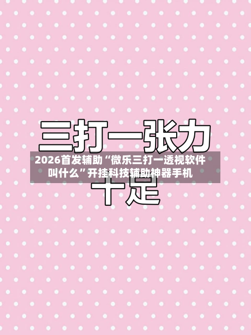 2026首发辅助“微乐三打一透视软件叫什么	”开挂科技辅助神器手机-第2张图片