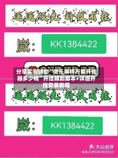 分享实测辅助“微乐麻将万能开挂器多少钱”开挂辅助脚本+详细开挂安装教程-第3张图片