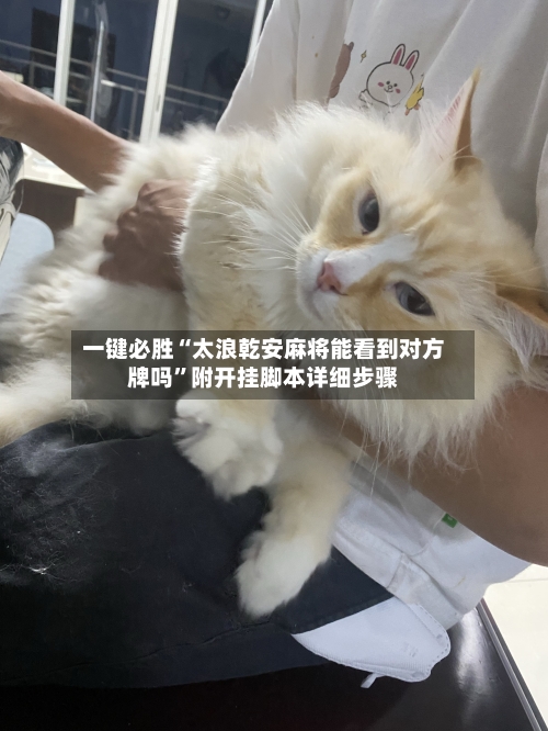 一键必胜“太浪乾安麻将能看到对方牌吗	”附开挂脚本详细步骤-第2张图片