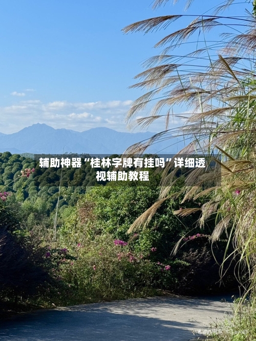 辅助神器“桂林字牌有挂吗	”详细透视辅助教程-第2张图片