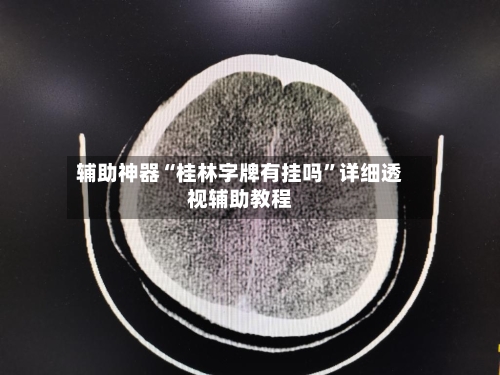 辅助神器“桂林字牌有挂吗”详细透视辅助教程-第3张图片