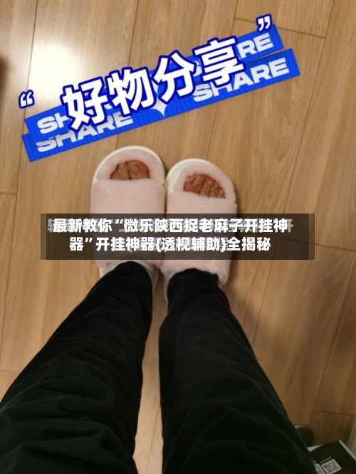 最新教你“微乐陕西捉老麻子开挂神器”开挂神器{透视辅助}全揭秘-第2张图片