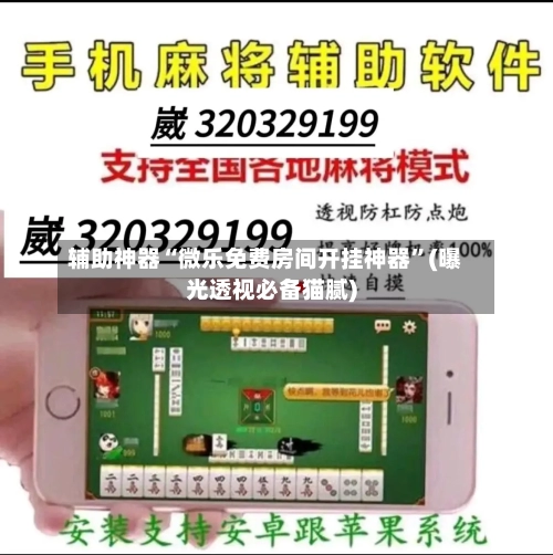 辅助神器“微乐免费房间开挂神器”(曝光透视必备猫腻)-第3张图片