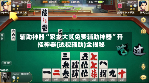 辅助神器“家乡大贰免费辅助神器”开挂神器{透视辅助}全揭秘-第3张图片