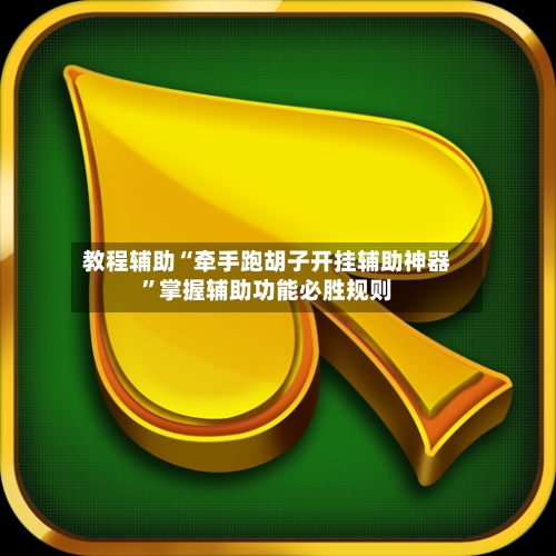 教程辅助“牵手跑胡子开挂辅助神器”掌握辅助功能必胜规则-第3张图片