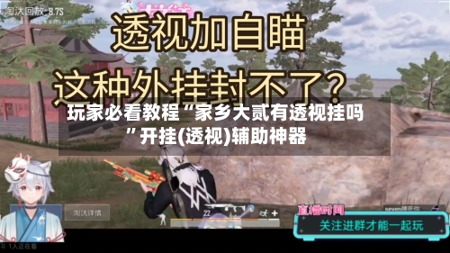 玩家必看教程“家乡大贰有透视挂吗”开挂(透视)辅助神器-第2张图片