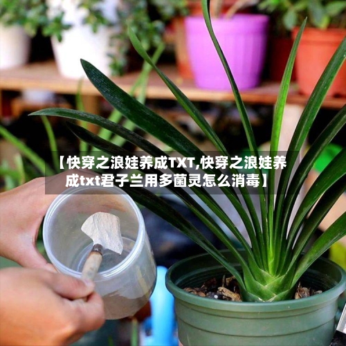 【快穿之浪娃养成TXT,快穿之浪娃养成txt君子兰用多菌灵怎么消毒】