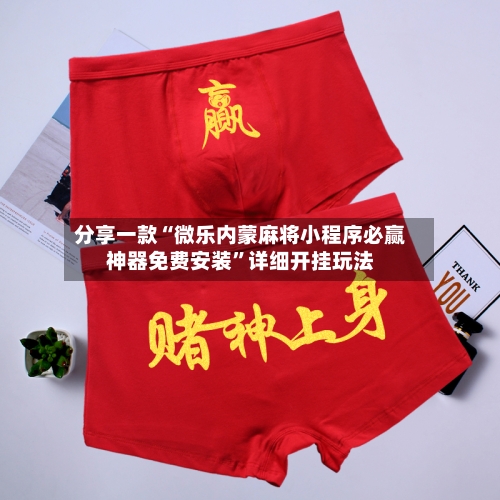 分享一款“微乐内蒙麻将小程序必赢神器免费安装”详细开挂玩法-第3张图片