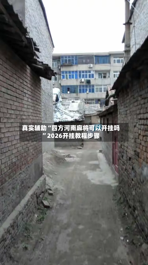 真实辅助“四方河南麻将可以开挂吗”2026开挂教程步骤-第2张图片