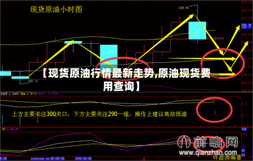 【现货原油行情最新走势,原油现货费用查询】