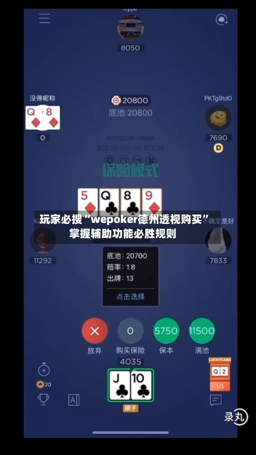 玩家必搜“wepoker德州透视购买”掌握辅助功能必胜规则-第3张图片