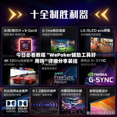 今日必看教程“WePoker辅助工具好用吗	”详细分享装挂-第2张图片